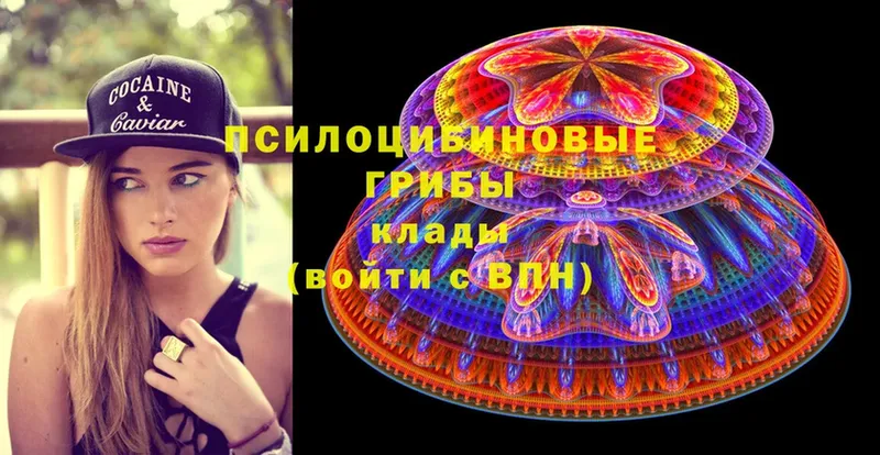 Галлюциногенные грибы Psilocybine cubensis  сколько стоит  Абинск 